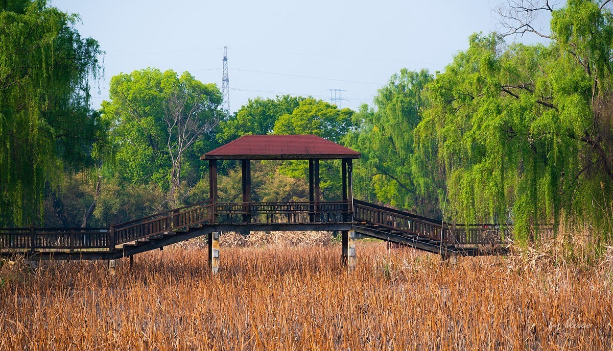 苏州植物园掠影（2）