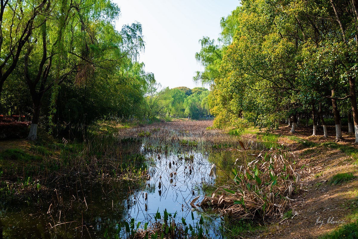 苏州植物园掠影（2）