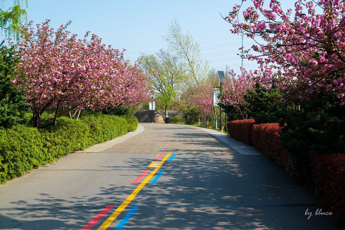 苏州植物园掠影（2）