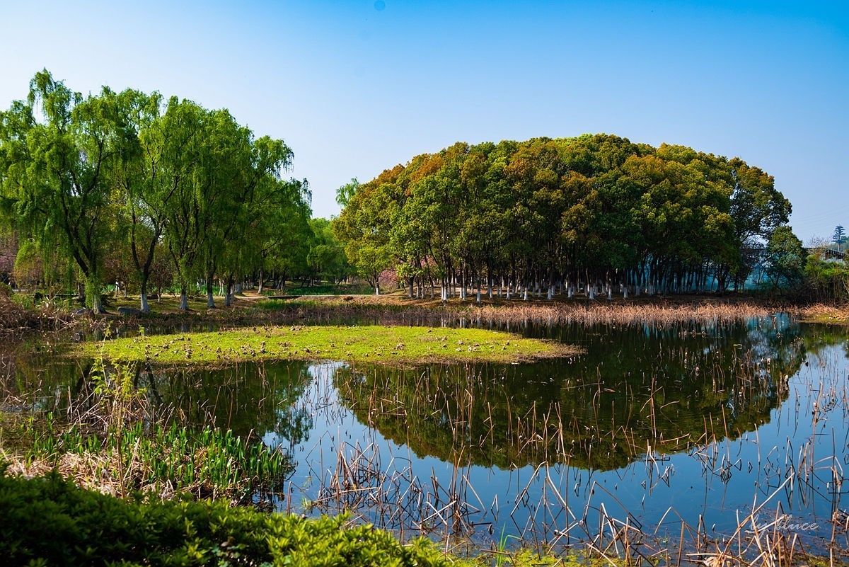 苏州植物园掠影（2）