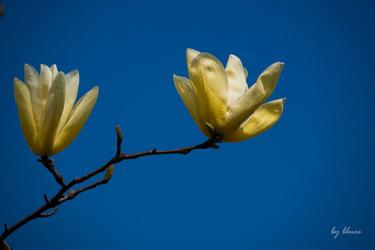 苏州植物园掠影（2）