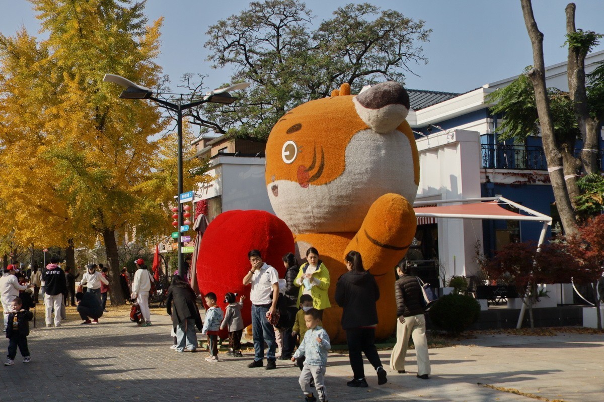 滨城游拍——初冬枫林街（2024-1）