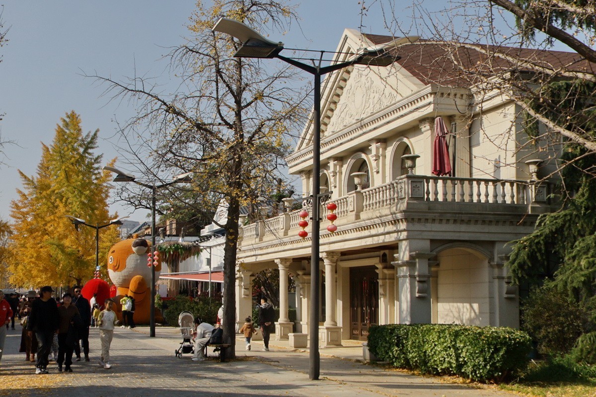 滨城游拍——初冬枫林街（2024-1）