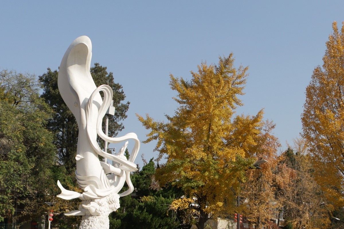 滨城游拍——初冬枫林街（2024-1）