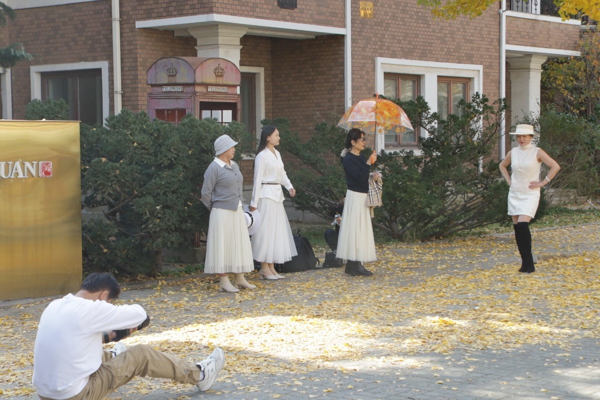 滨城游拍——初冬枫林街（2024-1）