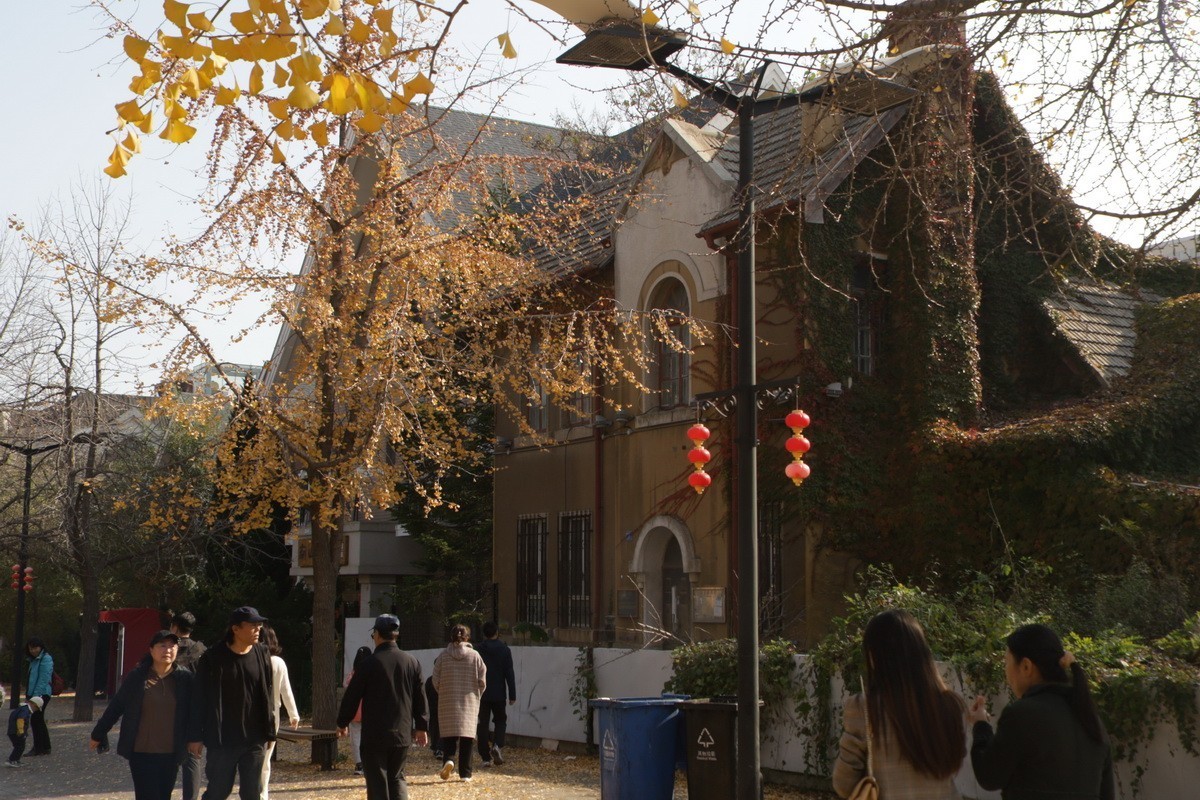 滨城游拍——初冬枫林街（2024-1）