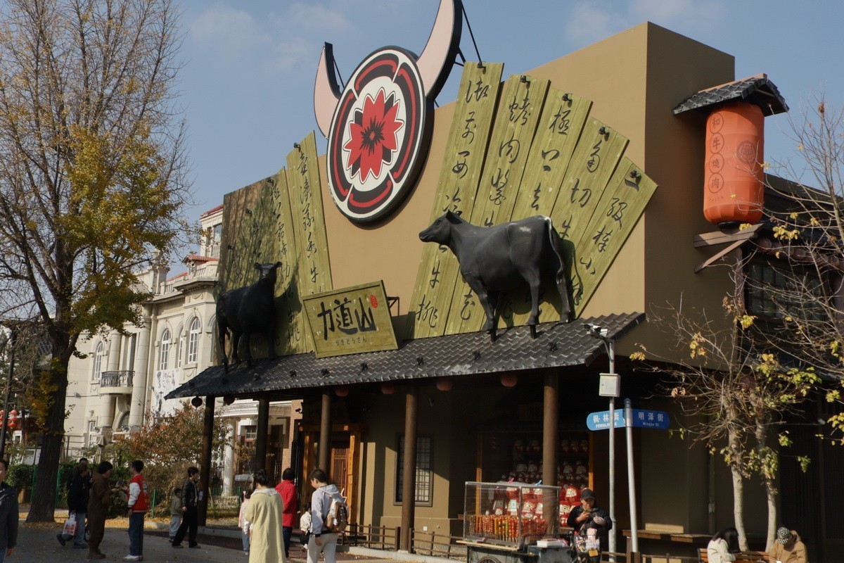 滨城游拍——初冬枫林街（2024-1）