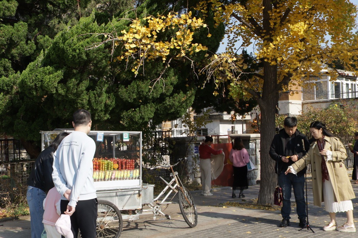 滨城游拍——初冬枫林街（2024-1）