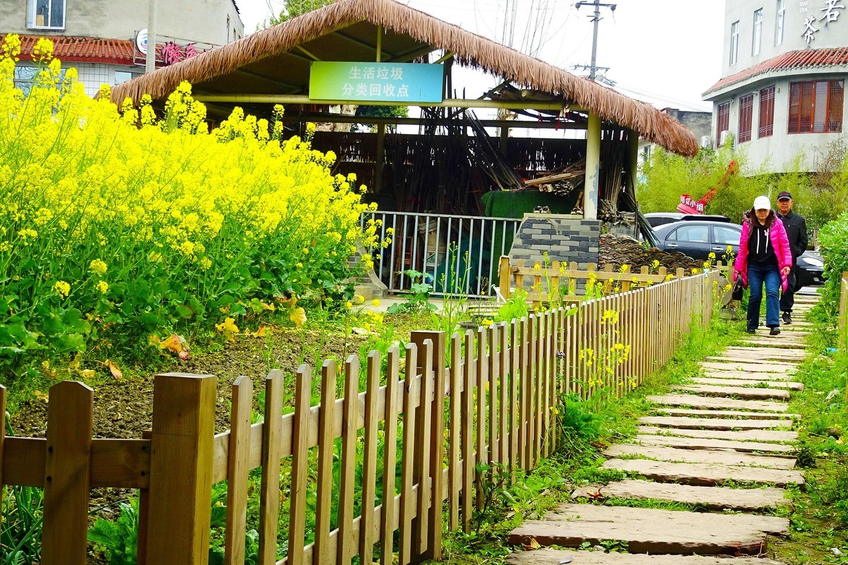 菜花 小屋 石板路
