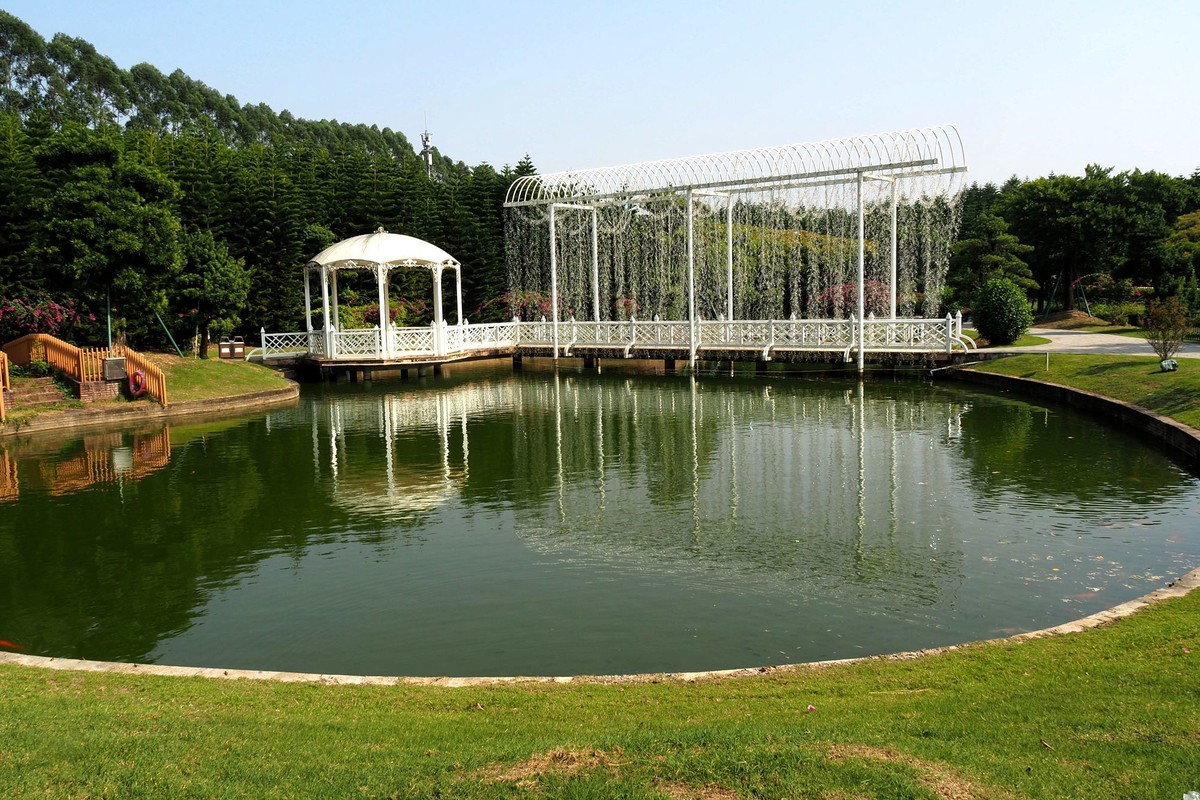 迪茵湖（3）