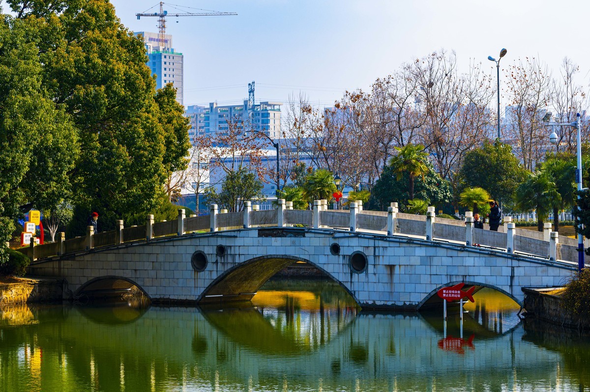 庐州印记（210）天乐公园