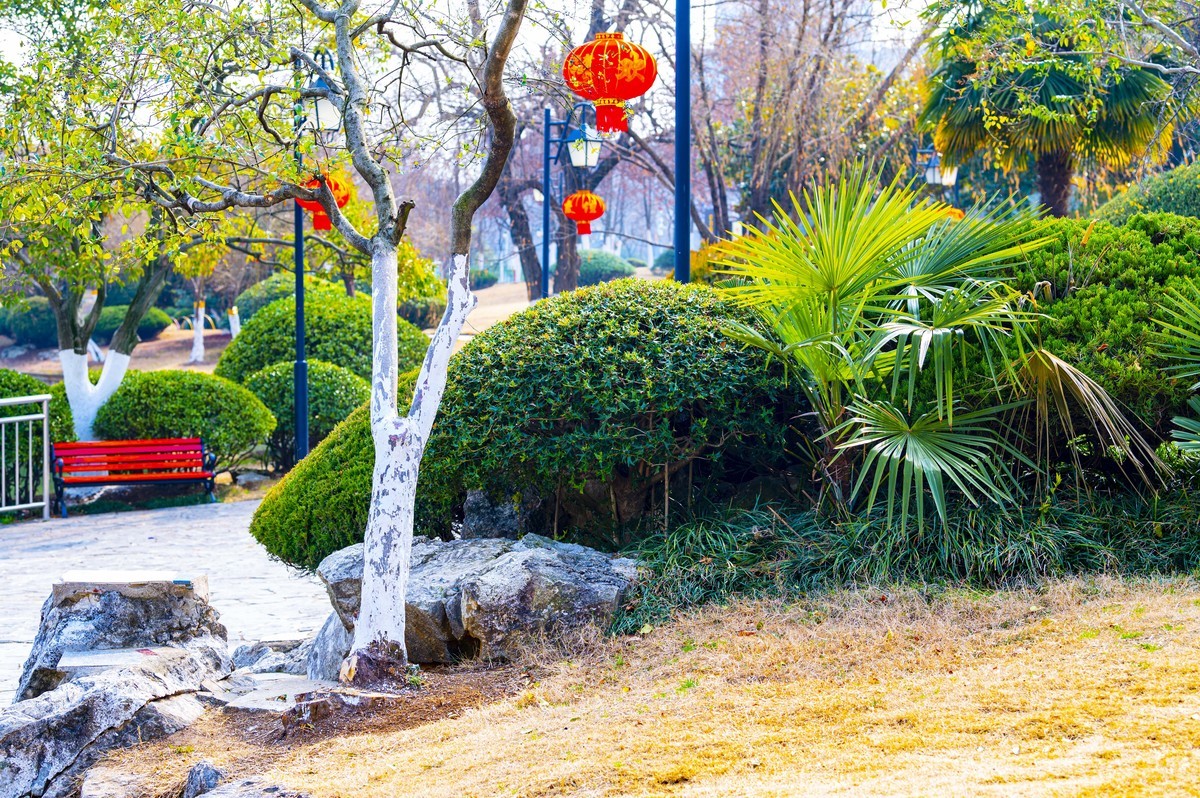 庐州印记（210）天乐公园