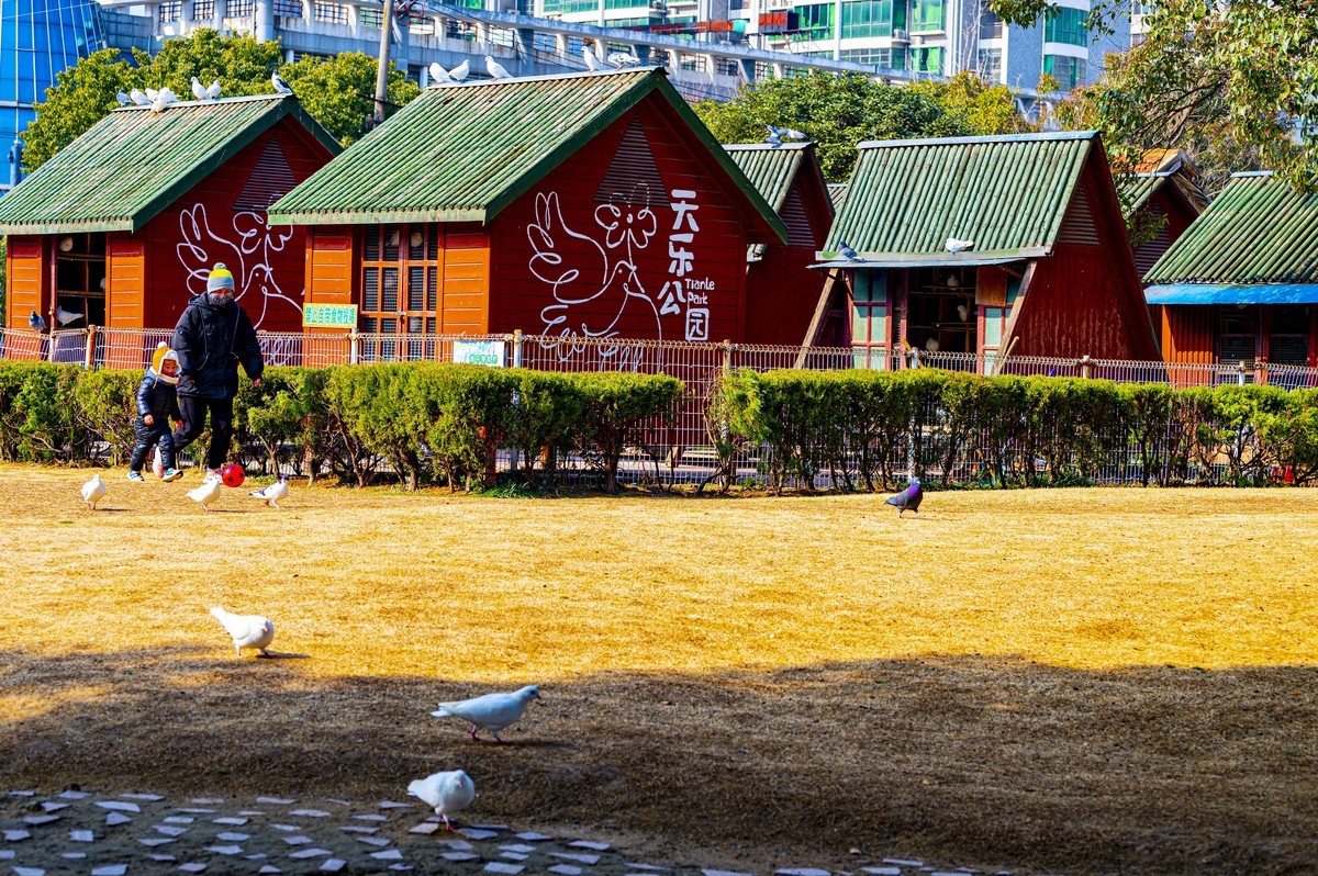 庐州印记（210）天乐公园