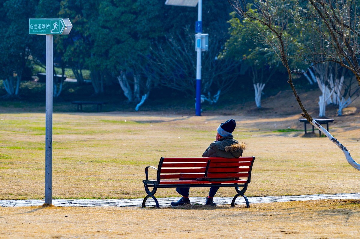 庐州印记（210）天乐公园