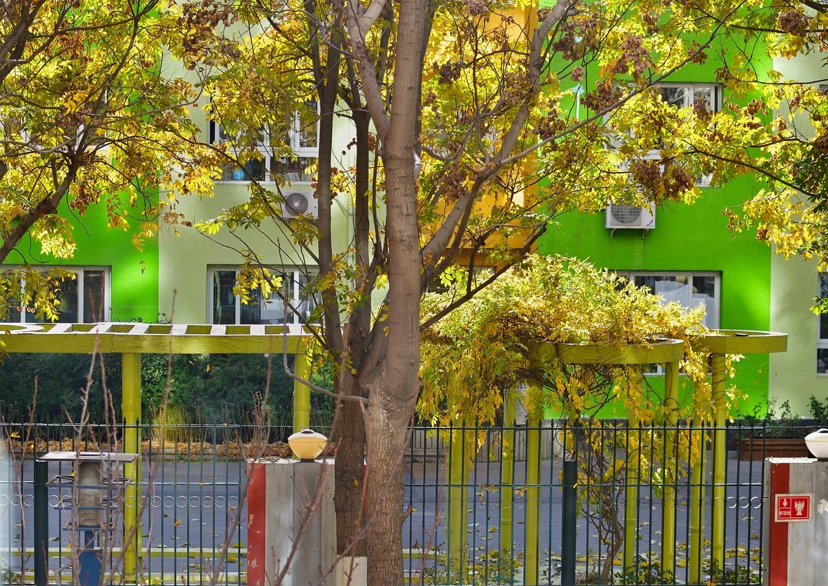 初冬窗外残秋小景