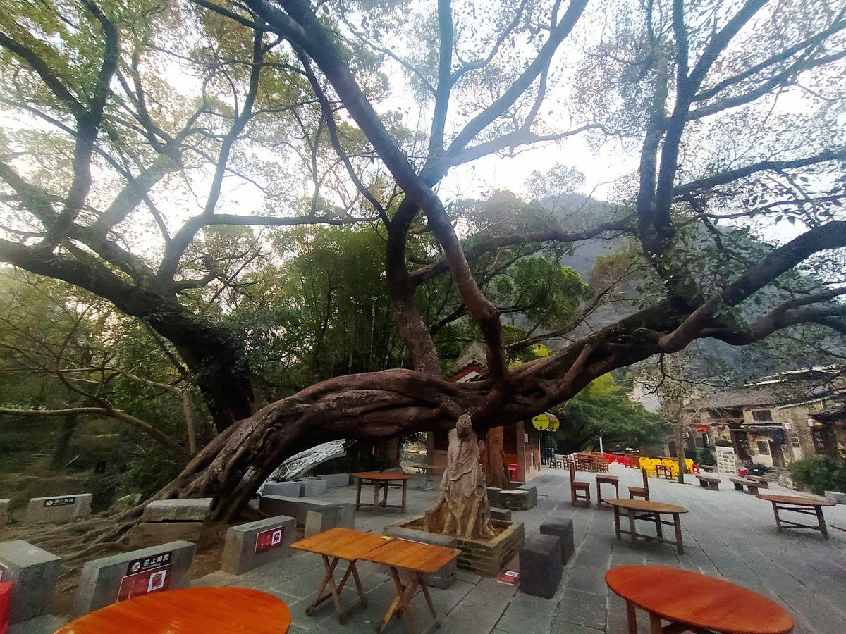 2023春节 桂粤行（5）宁静致远的感觉