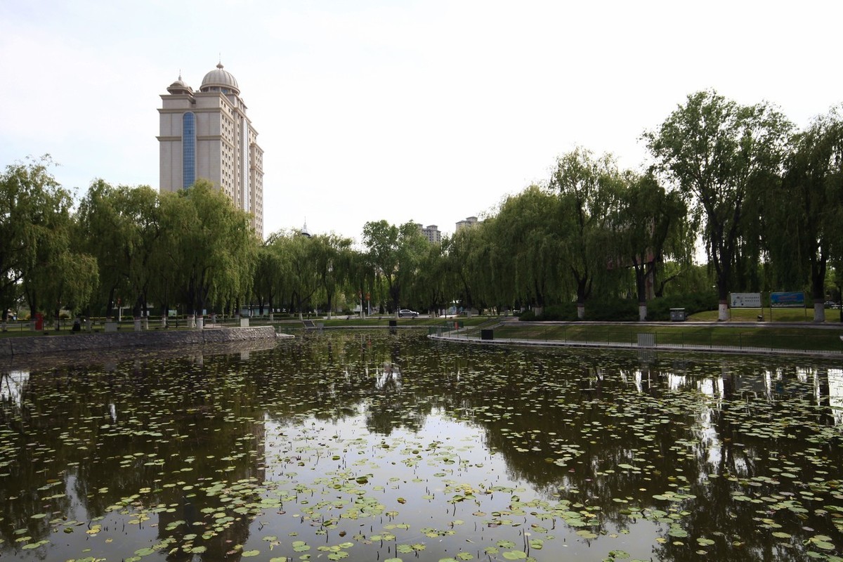 无敌兔依然能战！