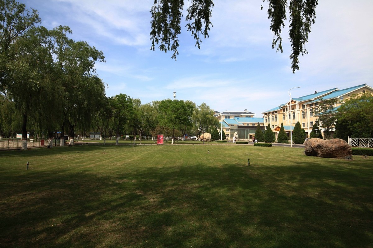 无敌兔依然能战！