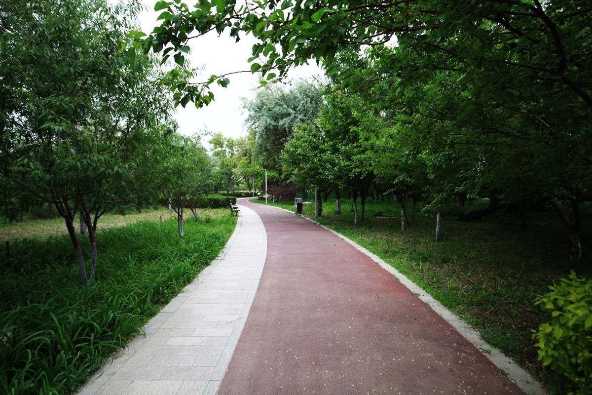 无敌兔依然能战！