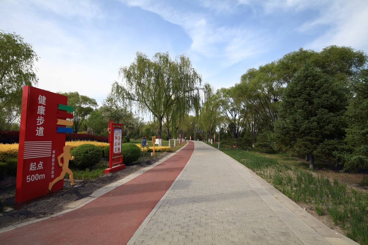 无敌兔依然能战！