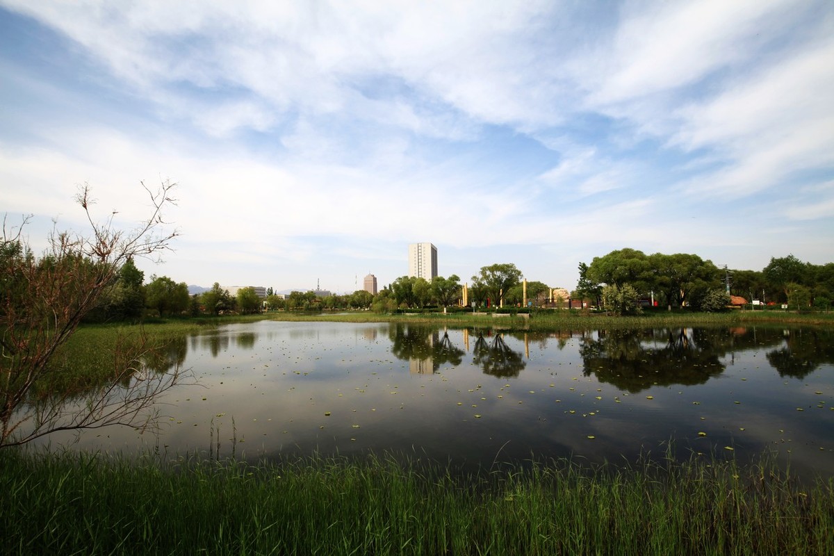 无敌兔依然能战！