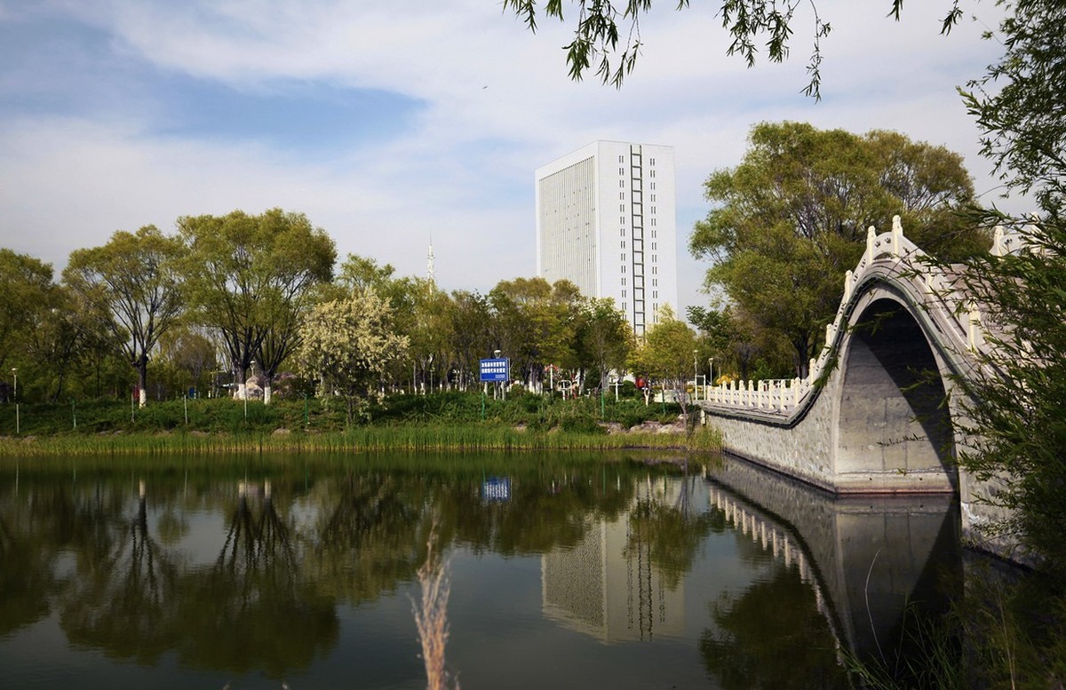 无敌兔依然能战！