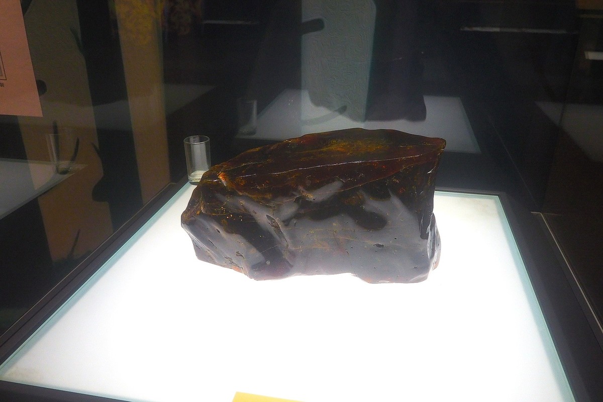 《时空旅行者—全球琥珀珍品展》