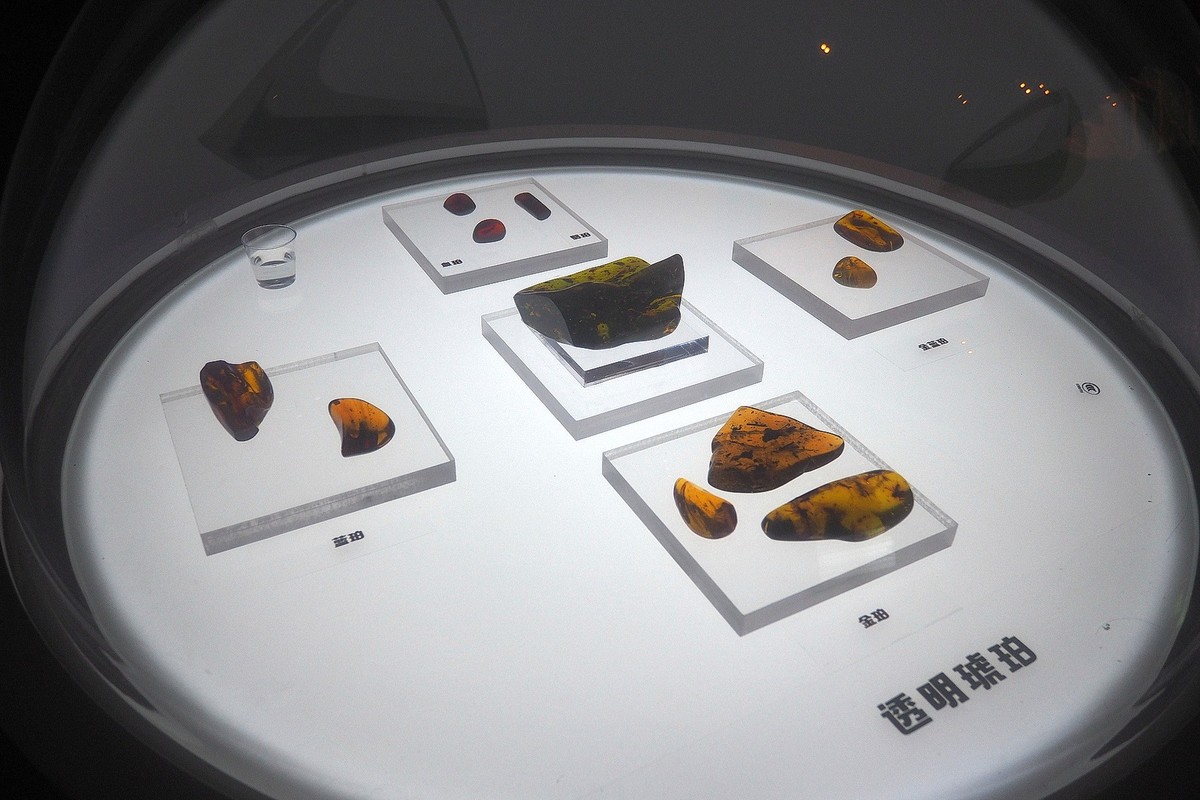 《时空旅行者—全球琥珀珍品展》