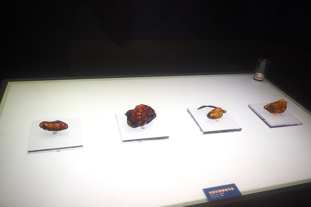 《时空旅行者—全球琥珀珍品展》