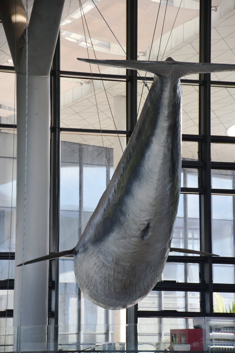 2024夏 海南环岛行（56）源同流异