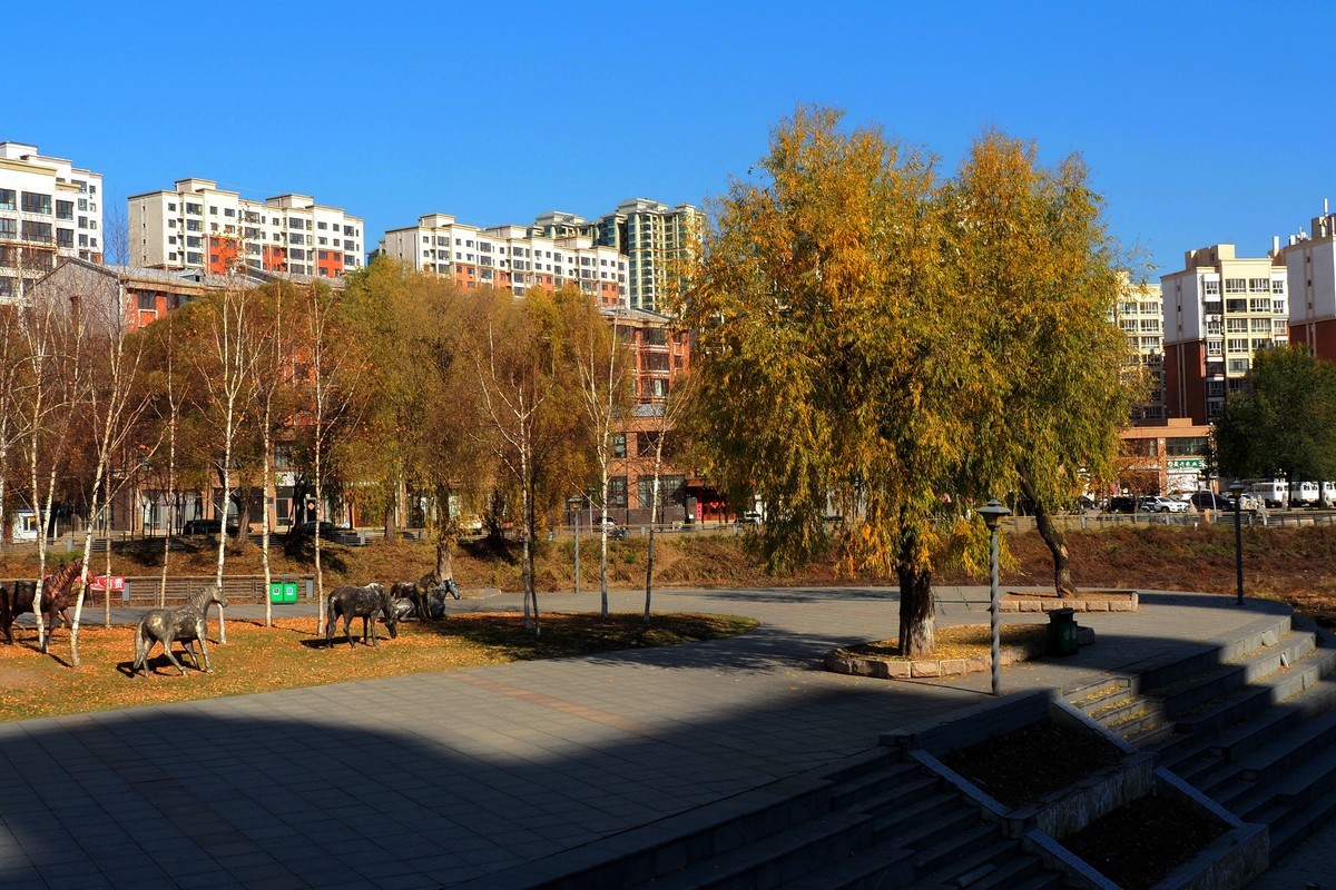 双龙公园——秋色(6)