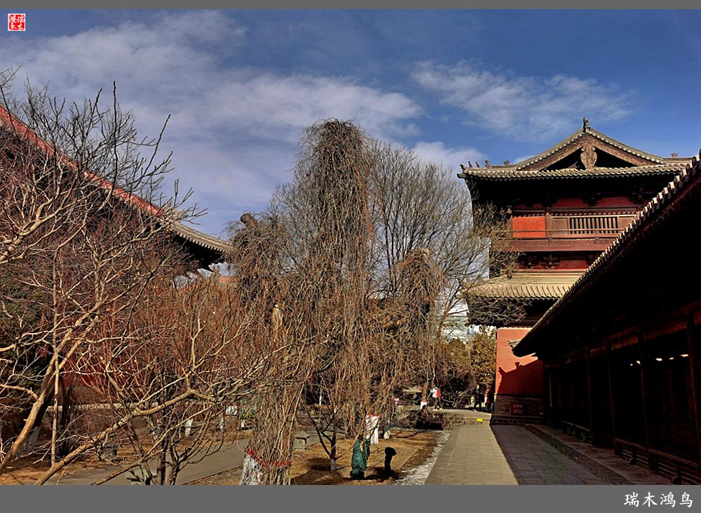 【印象大同】6.千年雄风犹存辽金瑰宝善化寺