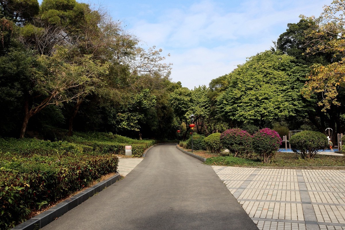 深圳中山公园