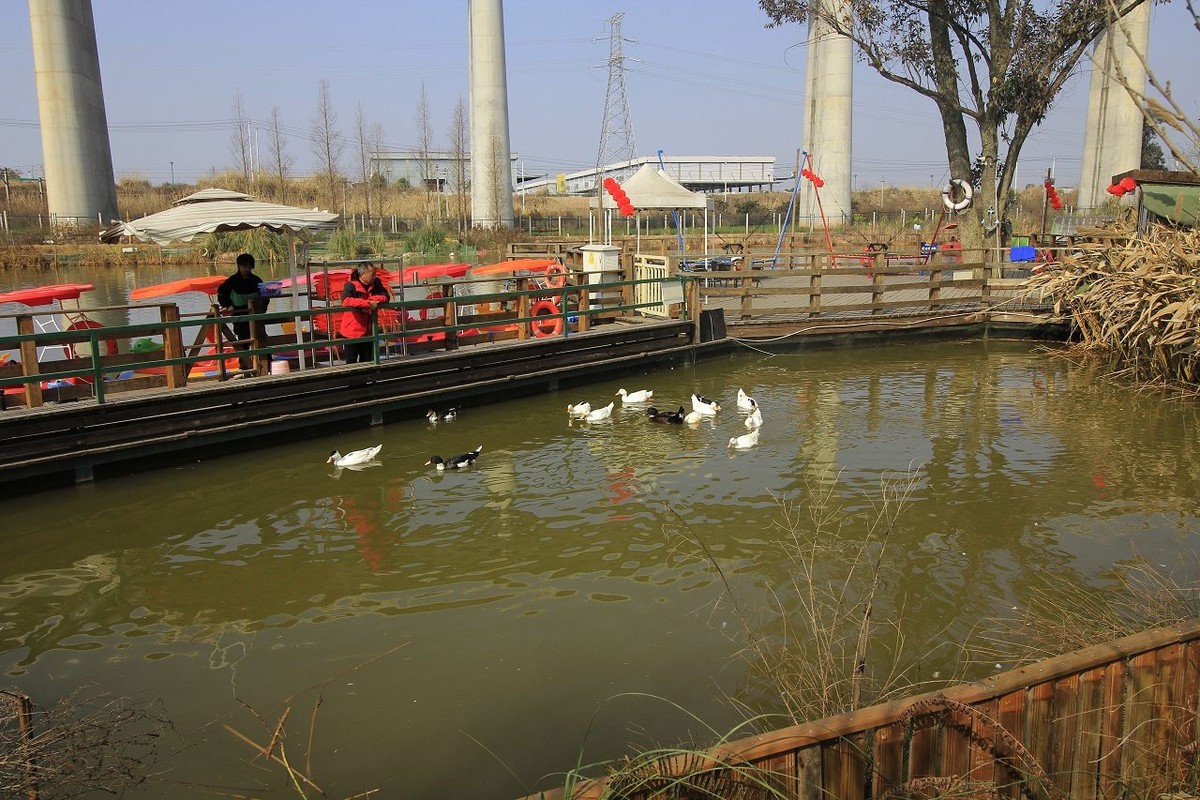 成都郊区新开张的儿童乐园——趣萌森林