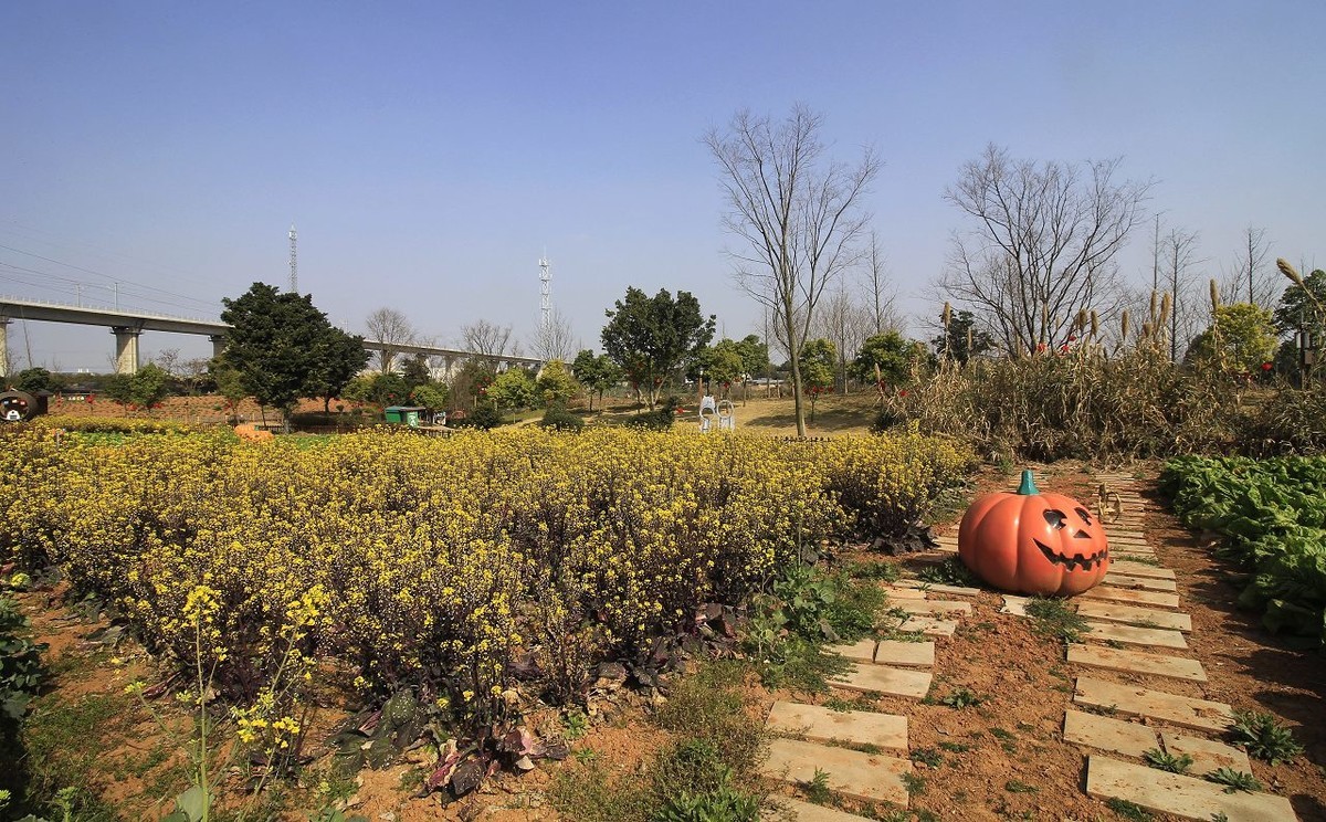 成都郊区新开张的儿童乐园——趣萌森林