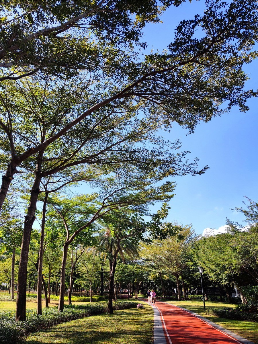 三亚湾 椰梦长廊 即景（第四集，续完）——10P