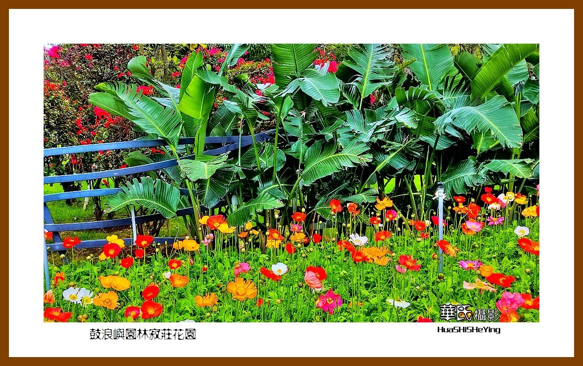 2022南行慢游（福建056）—鼓浪屿园林寂庄花园（厦门市）