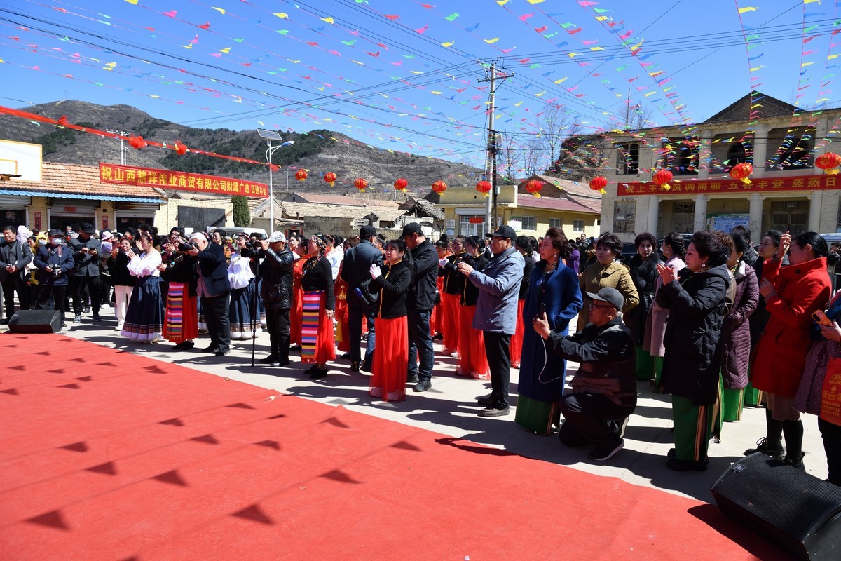 乡村振兴，文化铸魂--2025长池镇上王村第五届农民艺术活动（6）