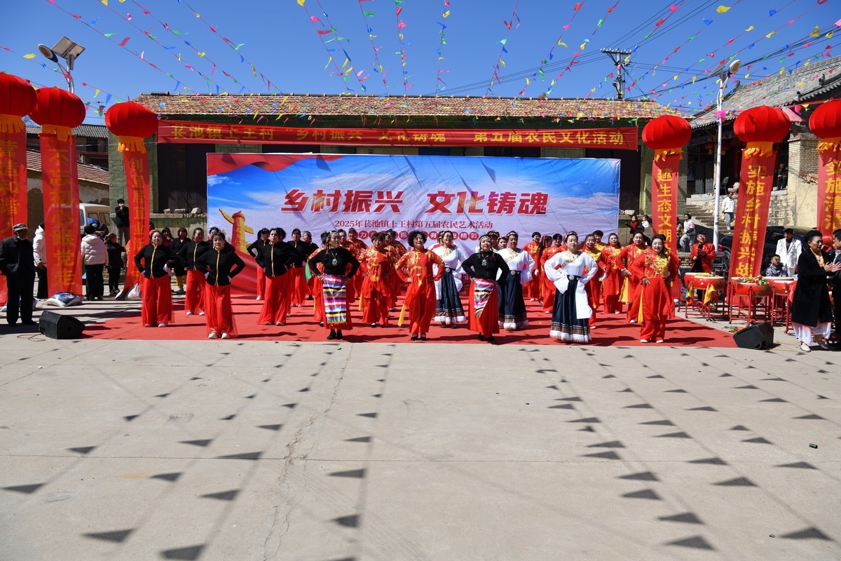 乡村振兴，文化铸魂--2025长池镇上王村第五届农民艺术活动（6）