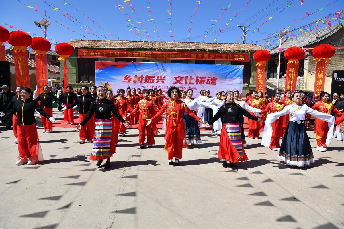 乡村振兴，文化铸魂--2025长池镇上王村第五届农民艺术活动（6）