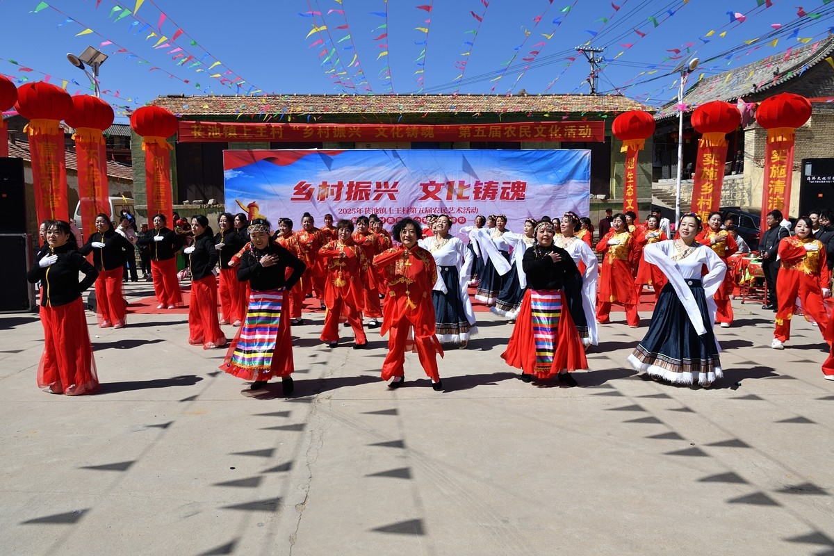 乡村振兴，文化铸魂--2025长池镇上王村第五届农民艺术活动（6）