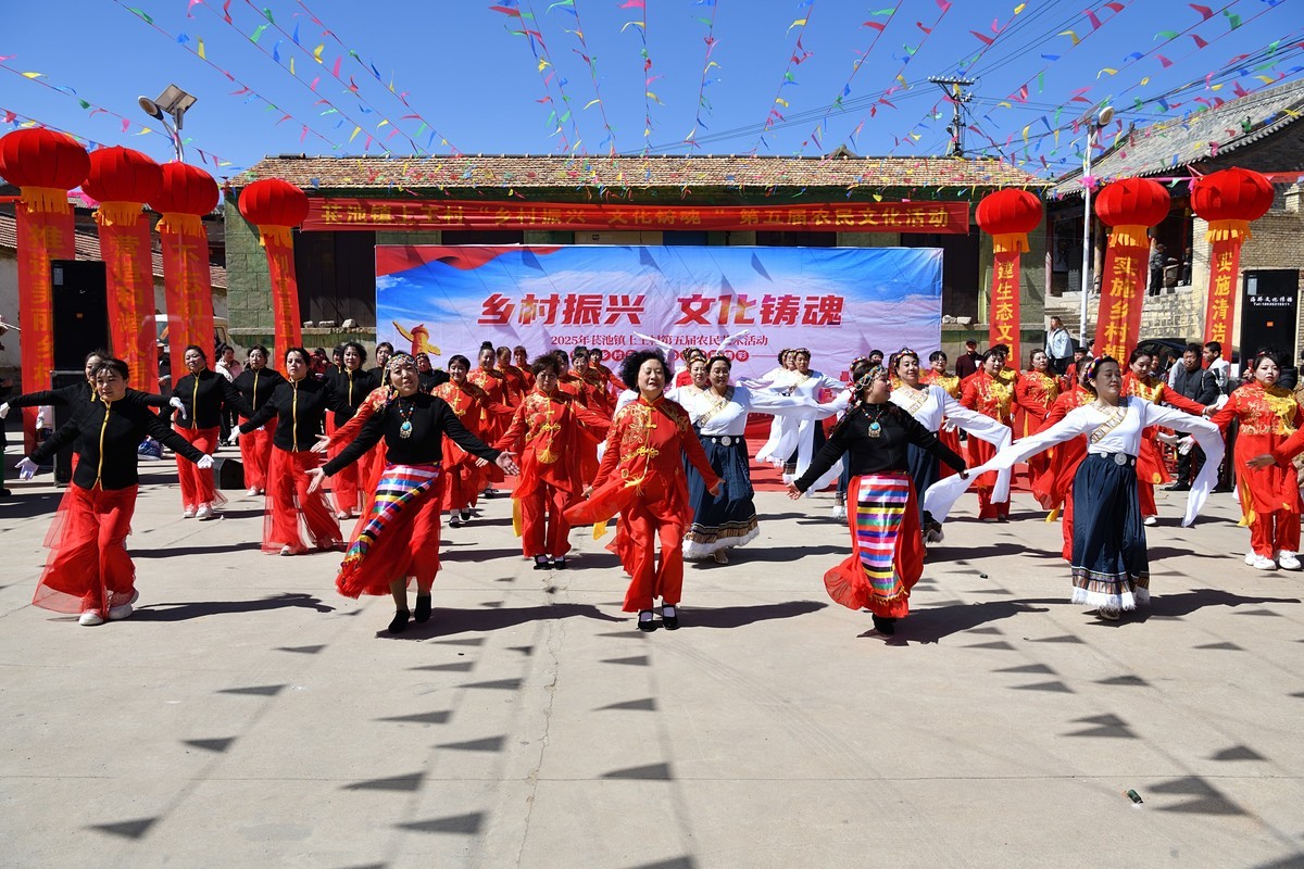 乡村振兴，文化铸魂--2025长池镇上王村第五届农民艺术活动（6）