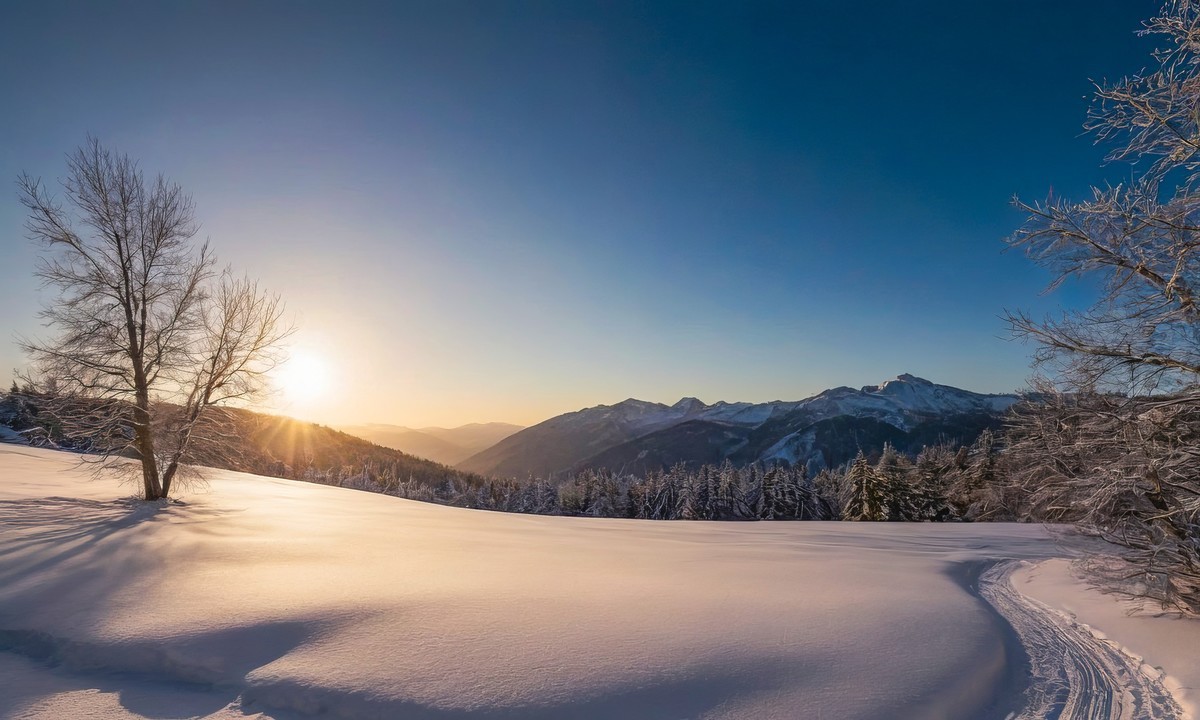 在纷扰中寻求宁静