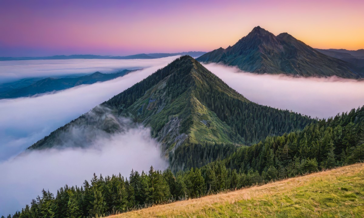 在纷扰中寻求宁静