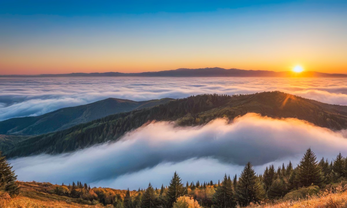 在纷扰中寻求宁静