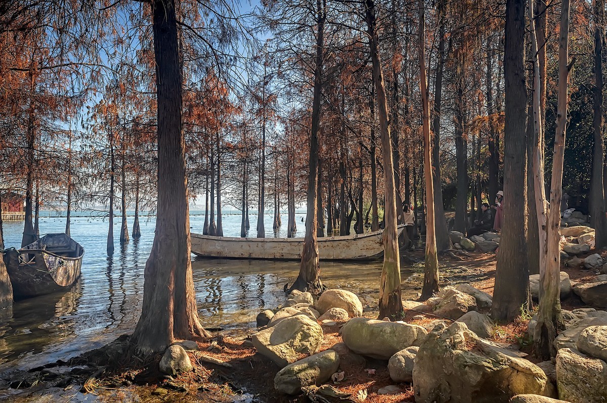 大理洱海 · 才村湿地