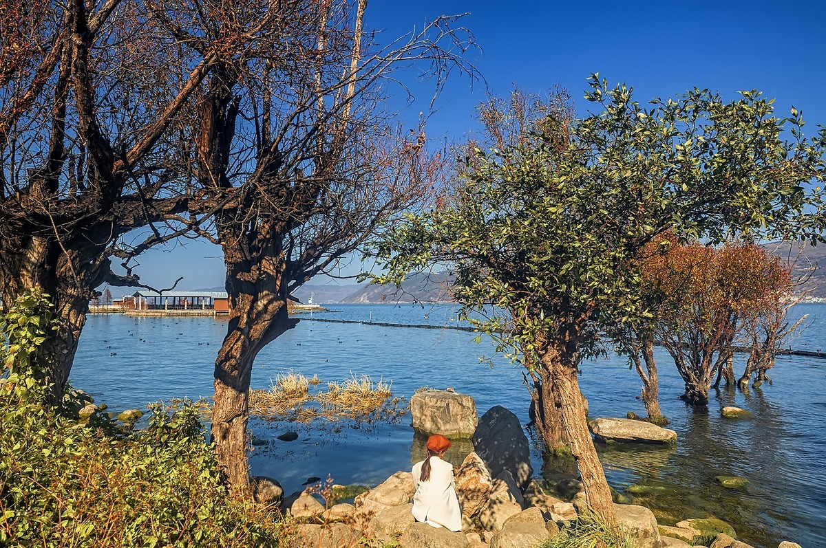 大理洱海 · 才村湿地