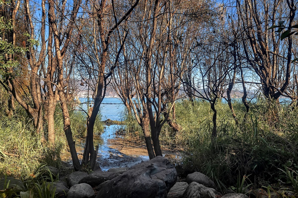 大理洱海 · 才村湿地