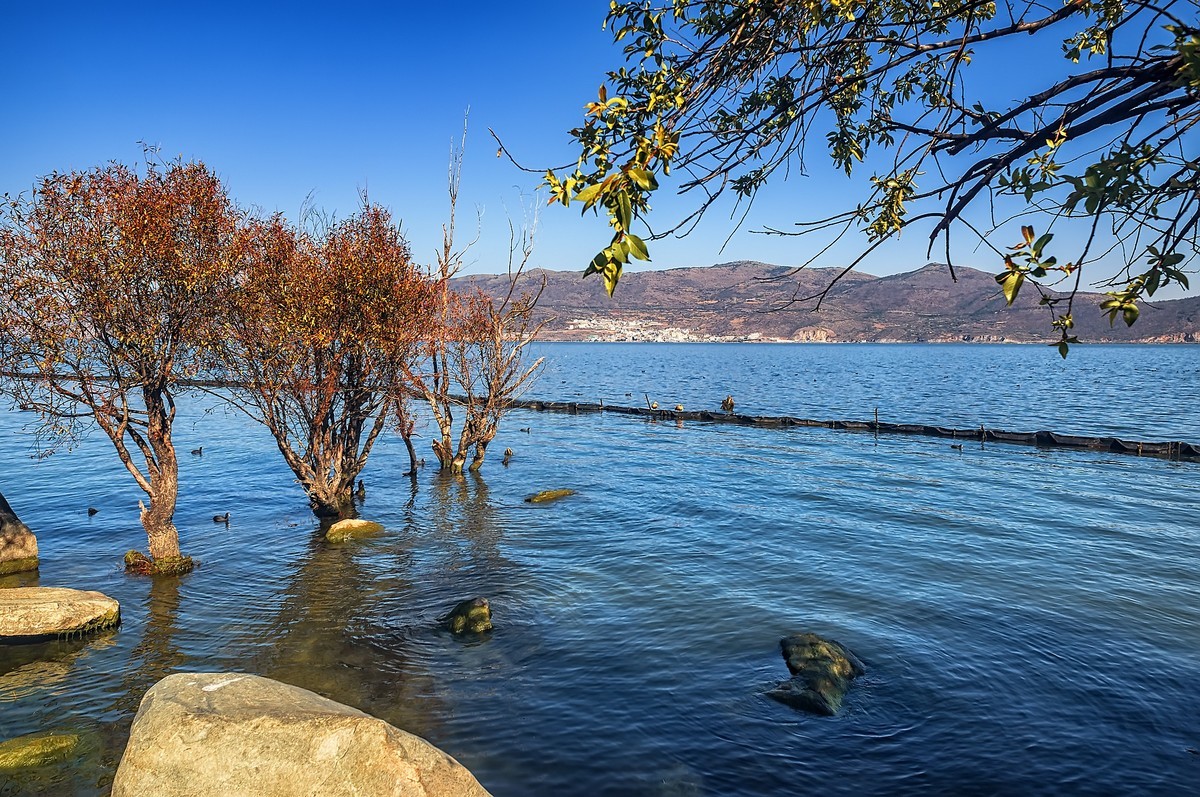 大理洱海 · 才村湿地