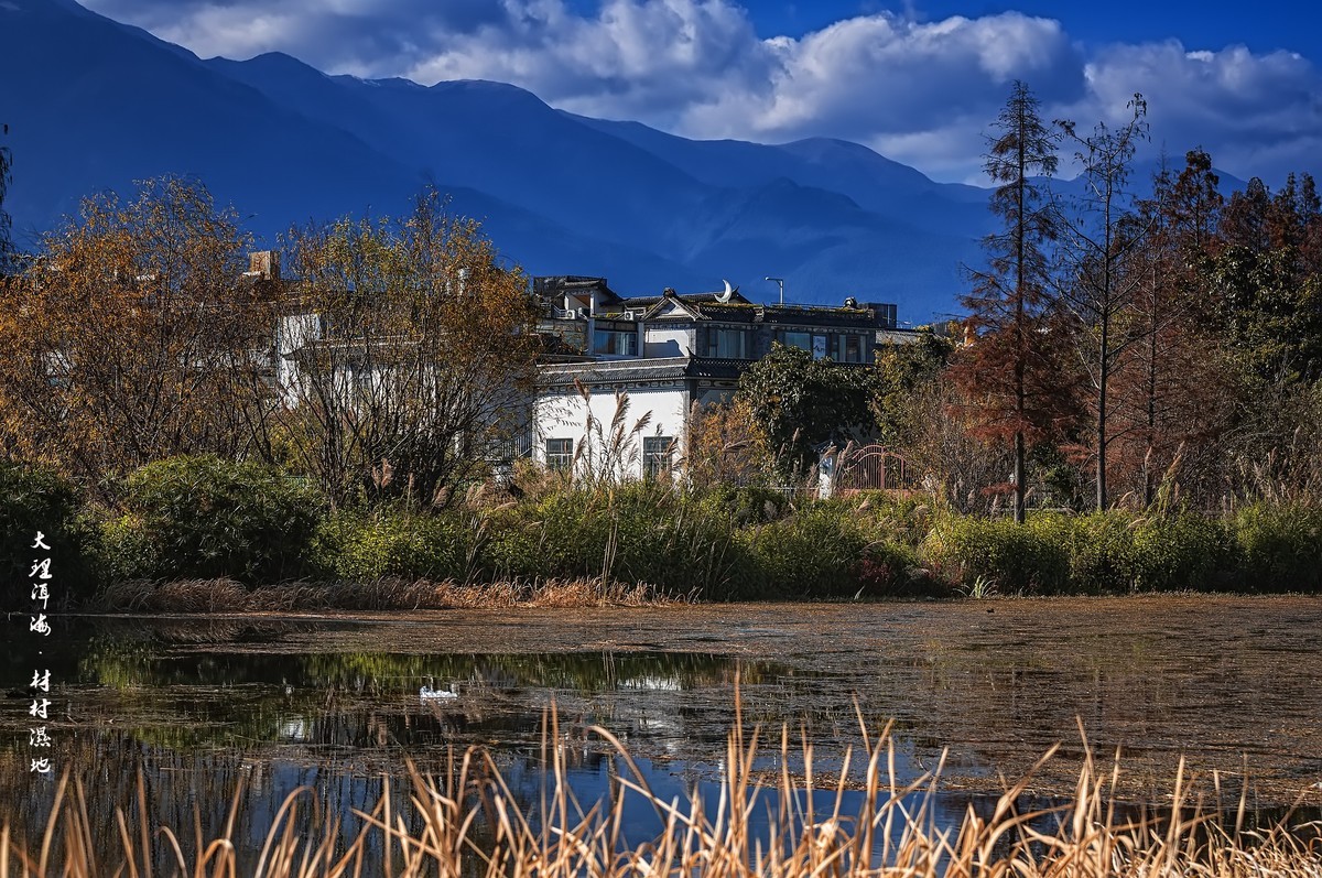 大理洱海 · 才村湿地